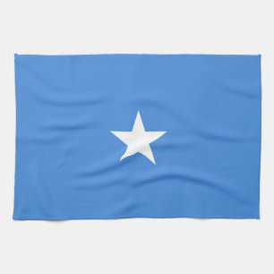 Somalia-Flagge Geschirrtuch