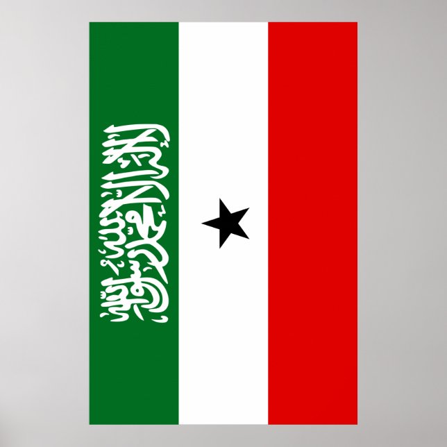 Somaliland Flag Poster (Vorne)