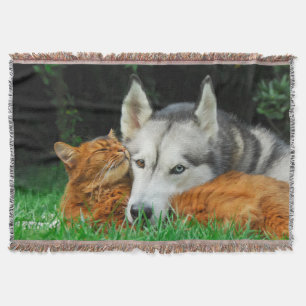 Somalische Katze und sibirische Husky-niedliche Fr Decke