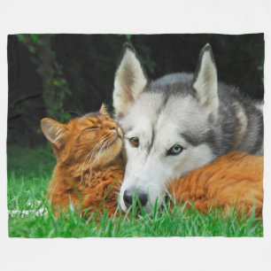 Somalische Katze und sibirische Husky-niedliche Fr Fleecedecke