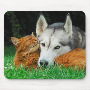 Somalische Katze und sibirische Husky-niedliche Fr Mousepad