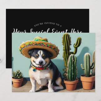 Sombreros perros einladung