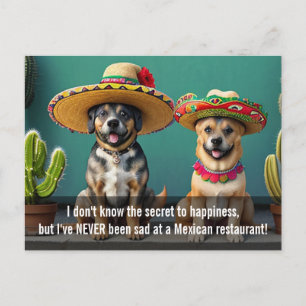 Sombreros perros meme postkarte