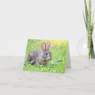 Somebunny to Liebe Note Card Karte