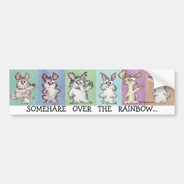 Somehare Over the Rainbow Autoaufkleber (Vorne)