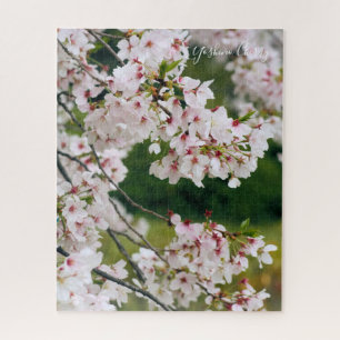 Somei-yoshino: Kirschblüten [Jigsaw-Puzzle]