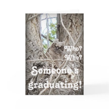 Someone's Graduating Owlet in Tree