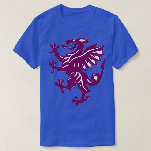 Somerset Cricket T-Shirt (Design vorne)