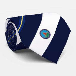 Somerville (Massachusetts) Stadtflagge Neck Tie Krawatte