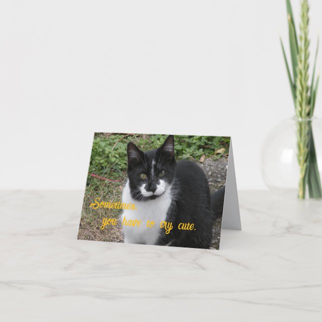 Sometimes, you have to try cute. dankeskarte (Vorderseite)