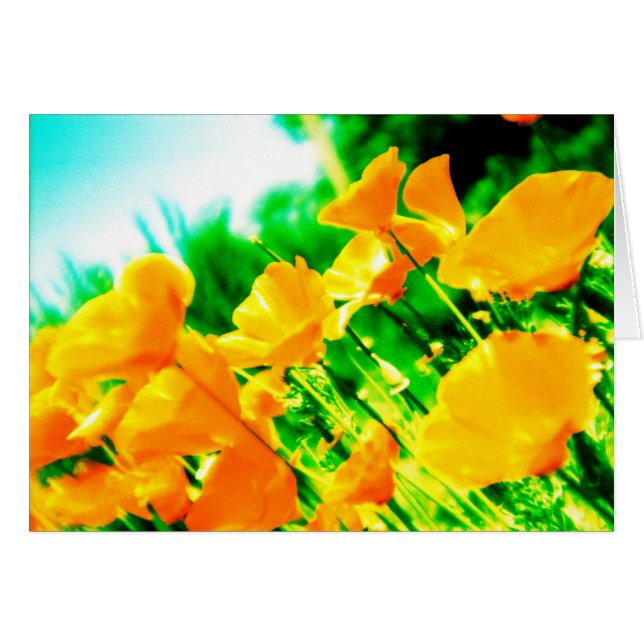 Sommer (Vorderseite (Horizontal))