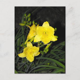 ~ Sommer 10 ~ Postkarte