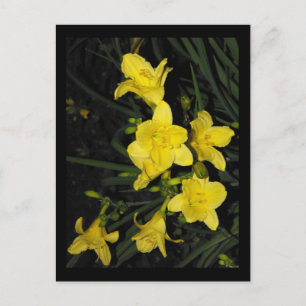 ~ Sommer 11 ~ Postkarte