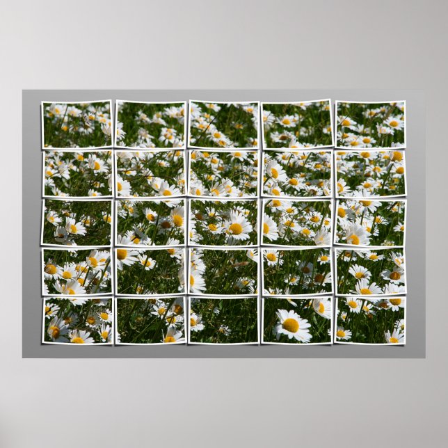 Sommer 2006 poster (Vorne)