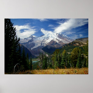 Sommer am Berg Rainier Poster