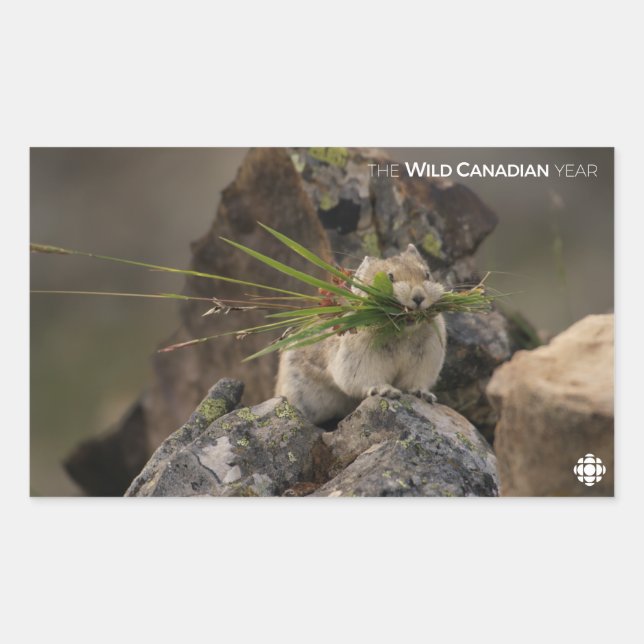 Sommer - Amerika - Pica Rechteckiger Aufkleber (Vorderseite)