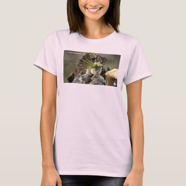 Sommer - Amerikanische Pica-Frauen T-Shirt (Vorderseite)