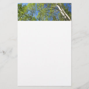 Sommer-Birken im Rocky Mountain Briefpapier