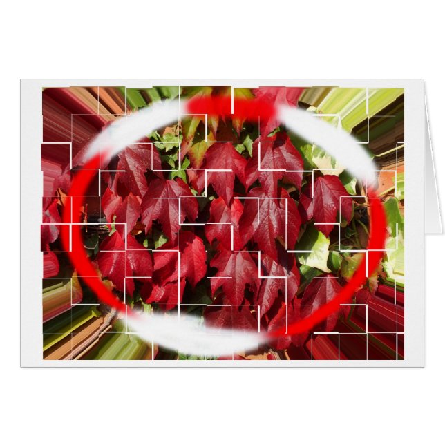 Sommer bis Herbst (Vorderseite (Horizontal))