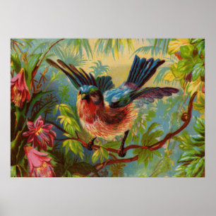Sommer Blaue Vogel Klein Poster