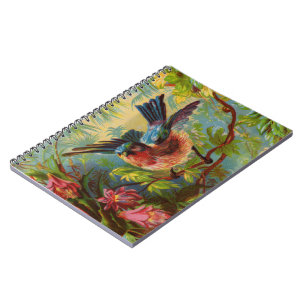 Sommer Blaumeisen Notizbuch Notizblock