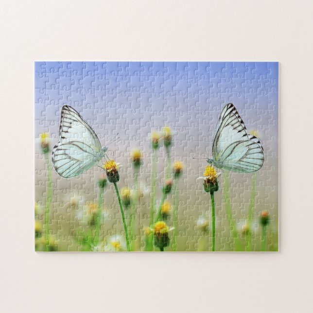 Sommer Blume Schmetterling Wiese Natur Flora (Horizontal)