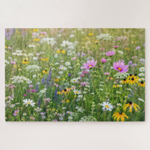 Sommer-Blumenwiese