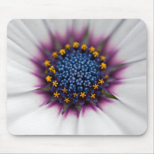 Sommer-Daisy Nahaufnahme Mousepad