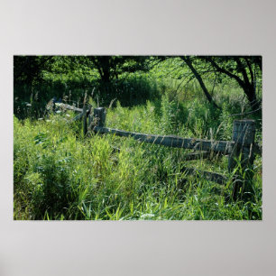 Sommer-Feld mit Zaun Poster