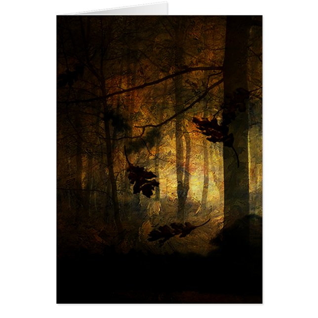 Sommer-Fluch (Vorne)