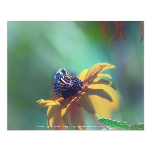 Sommer Fotodruck (Vorne)