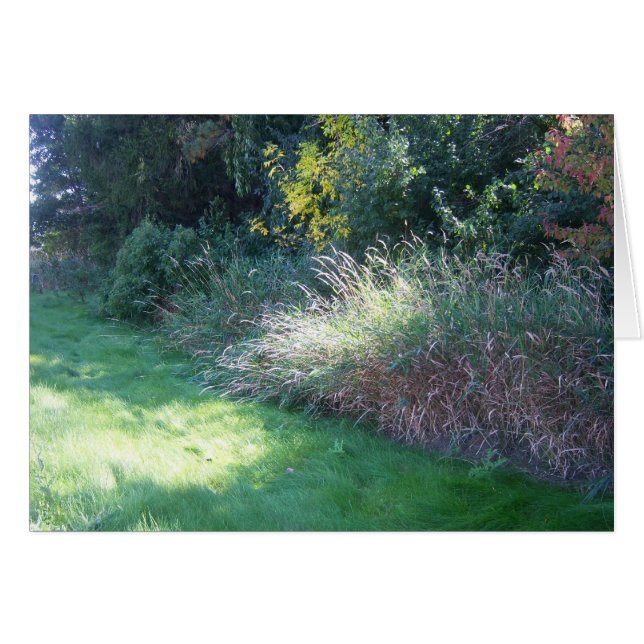 Sommer-helle Karte (Vorderseite (Horizontal))