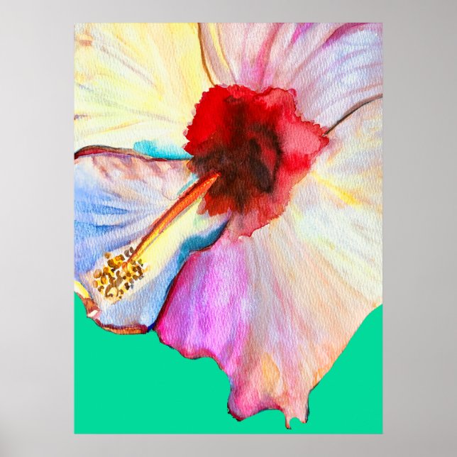 Sommer Hibiskus blühend Poster (Vorne)
