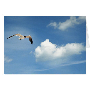 Sommer-Himmel