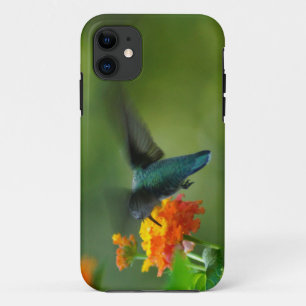 Sommer Hummer! Case-Mate iPhone Hülle