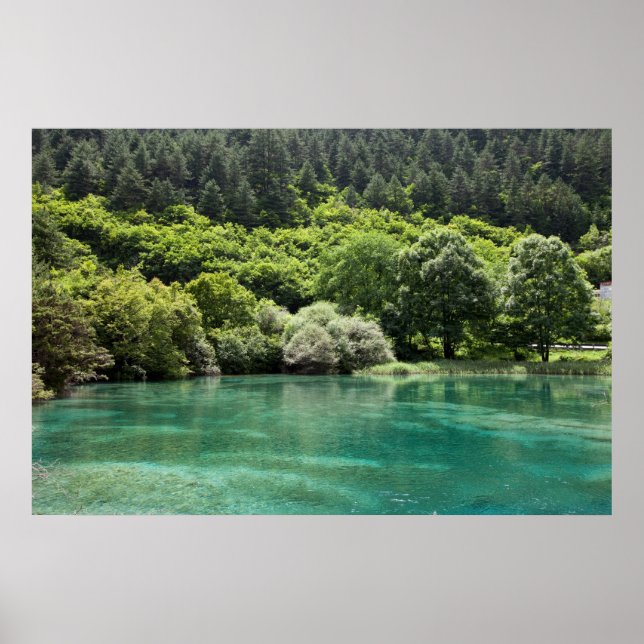 Sommer im Jiuzhaigou-Tal Poster (Vorne)
