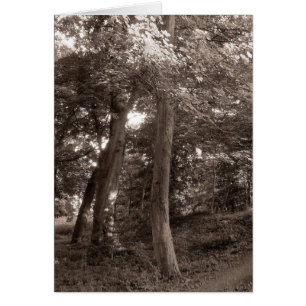 Sommer im Wald - warm gebügelt