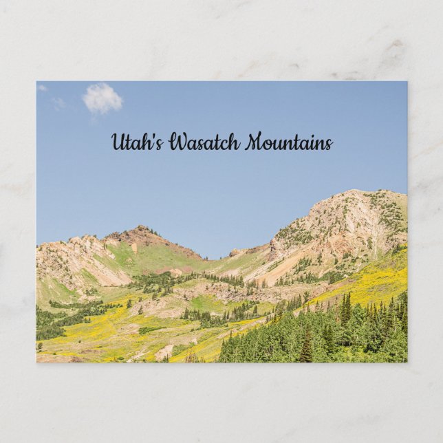 Sommer im Wasatch-Gebirge Postkarte (Vorderseite)