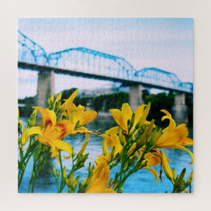 Sommer in Chattanooga - Walnut Street Bridge 20x20
