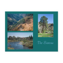 Sommer in den Sierras