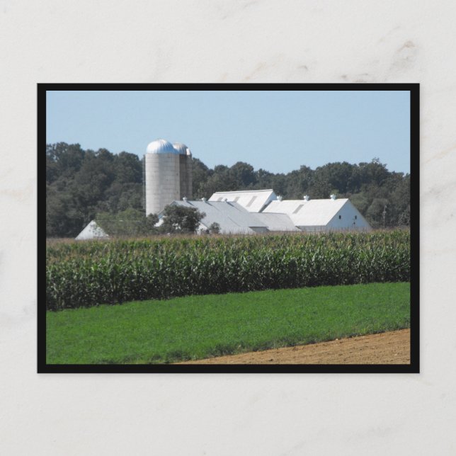 ~ Sommer in Lancaster Landkreis ~ 70 Postkarte (Vorderseite)