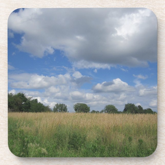 Sommer-Iowa-Grasland Getränkeuntersetzer (Vorderseite)