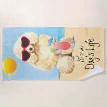 Sommer-Miniaturpudel