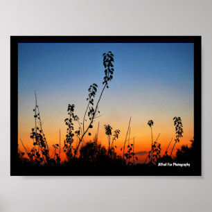 Sommer-Pflanzensilhouetten Poster