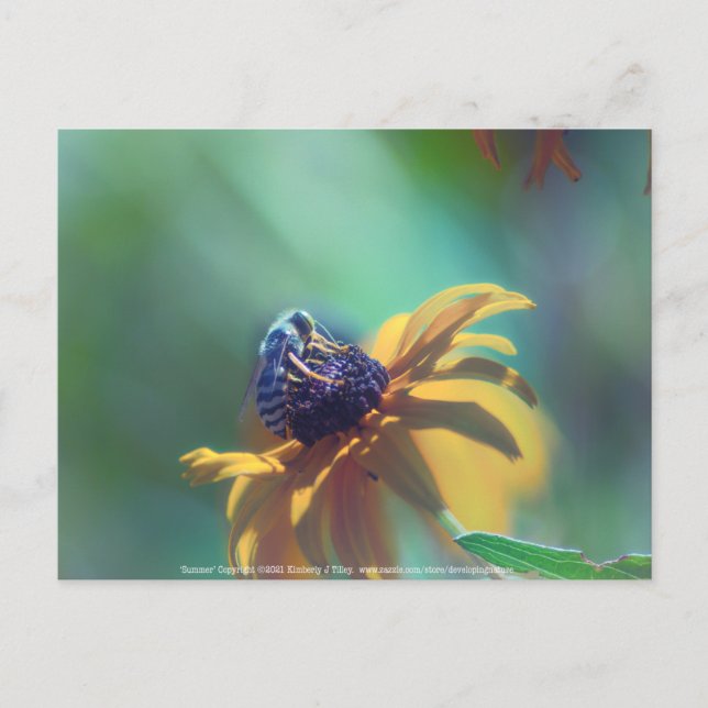 Sommer Postkarte (Vorderseite)