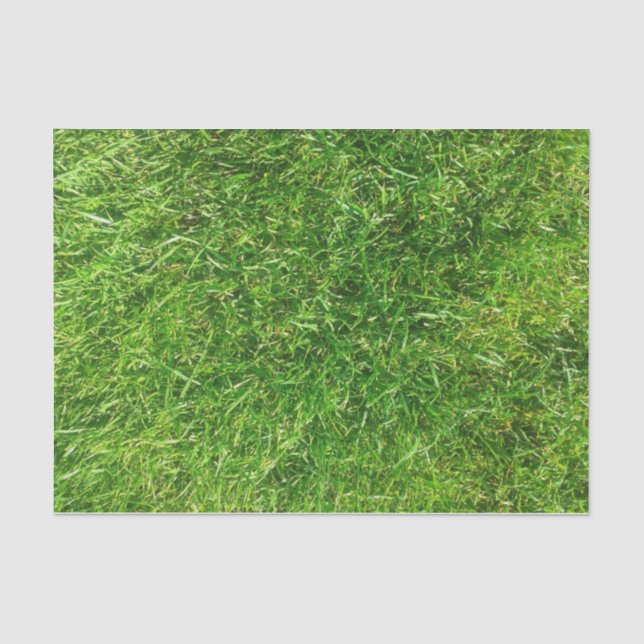 Sommer-Rasen Seidenpapier (Vorderseite)