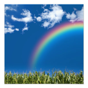 Sommer-Regenbogen-Wand-Druck Fotodruck