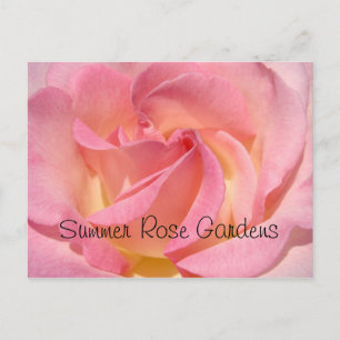 Sommer-Rosen-Garten-Postkarten-spezielle Postkarte