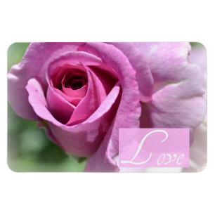 Sommer-Rosen-Magnet Magnet