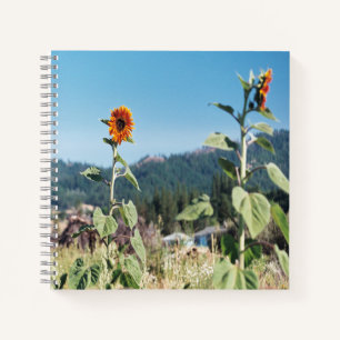 Sommer Sonnenblumen...... Notizbuch